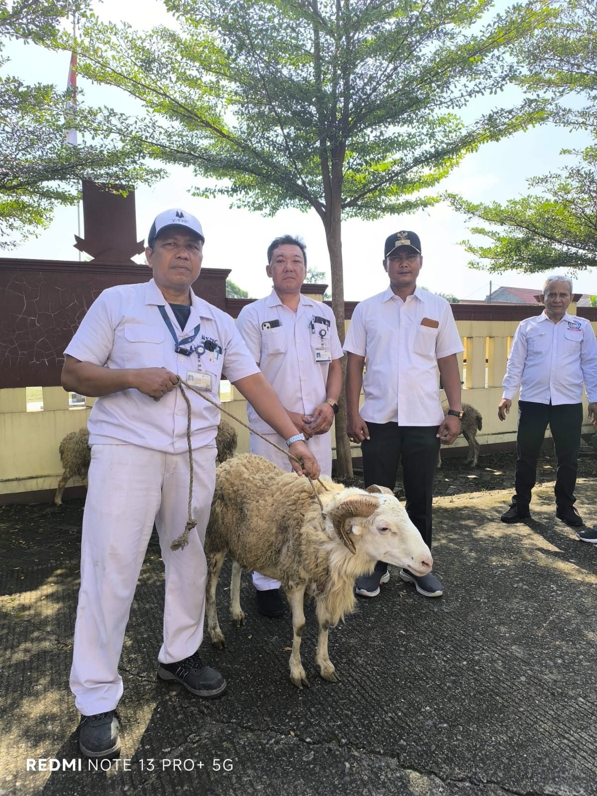Sumbangan Qurban 2025